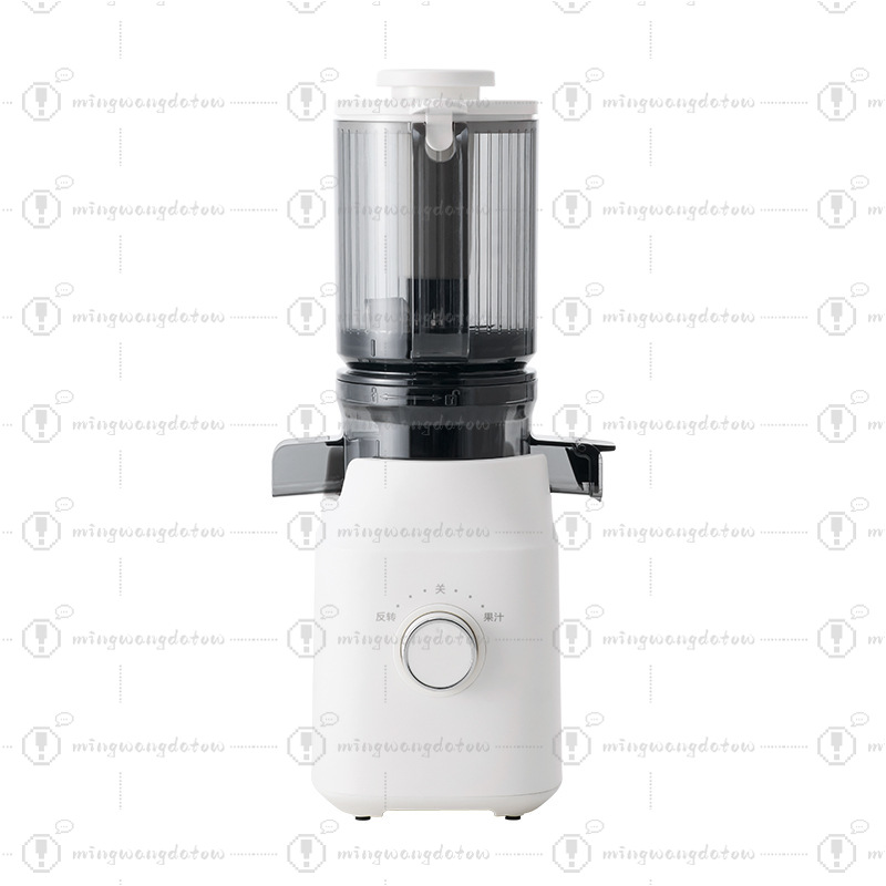 Juicer Cold Press Slow - Slow Masticating Juicer with Pulp and