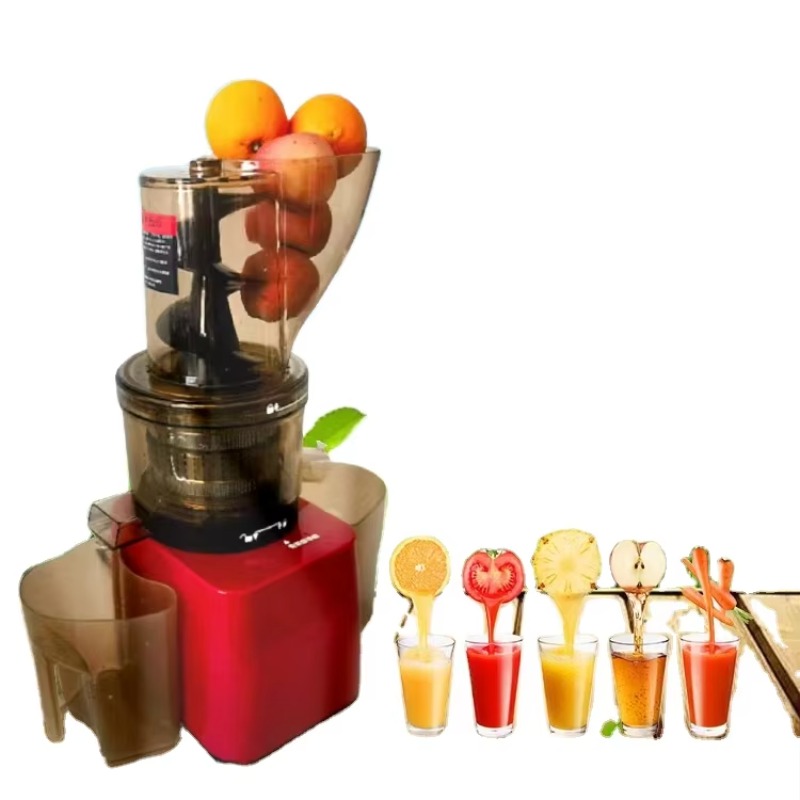 Stainless Steel Fruit Vegetabl – Juicer Cold Press Slow Bewertung und Preis