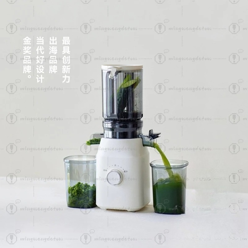 Slow Masticating Juicer with P – Juicer Cold Press Slow Bewertung und Preis