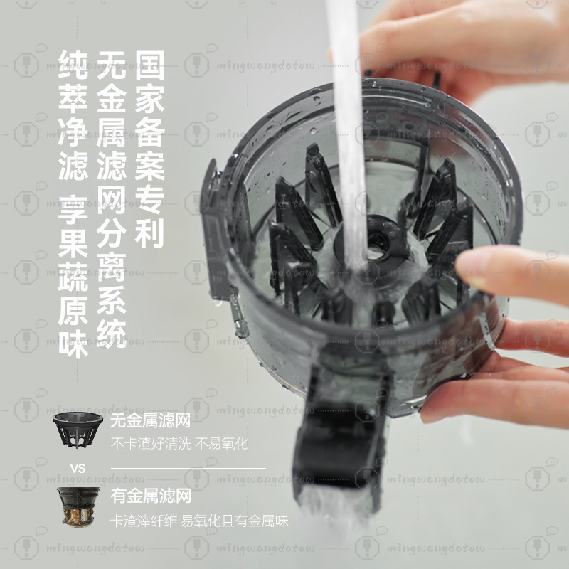 Slow Masticating Juicer with P – Juicer Cold Press Slow Bewertung und Preis