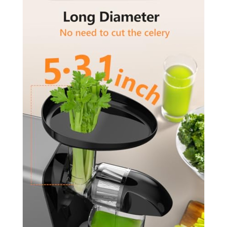 Cold Press Slow Juicer for Fru – Juicer Cold Press Slow Bewertung und Preis