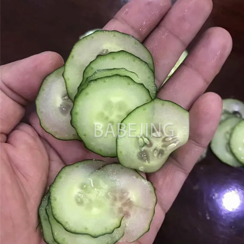 Electric Mini Scallion Chopper – Kitchen Appliances Commercial Bewertung und Preis