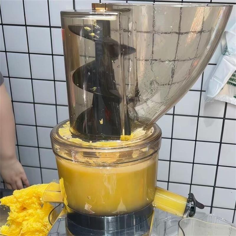 500W Commercial High Productiv – Juicer Cold Press Slow Bewertung und Preis