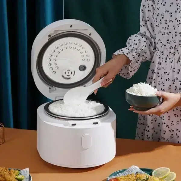 110v smart Rice cooker 3L rice – Kitchen Appliances Canada Bewertung und Preis