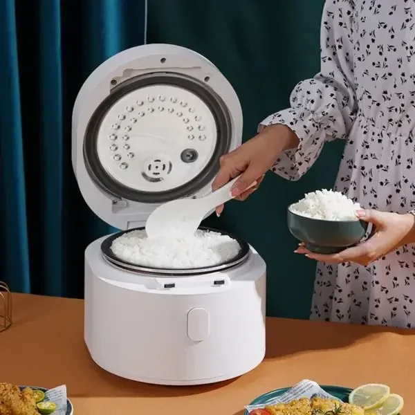 110v smart Rice cooker 3L rice – Kitchen Appliances Canada Bewertung und Preis