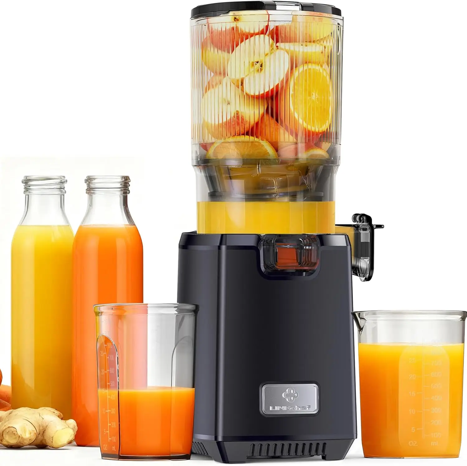 Cold Press Juicer Machines, 13 – Juicer Cold Press Slow Bewertung und Preis