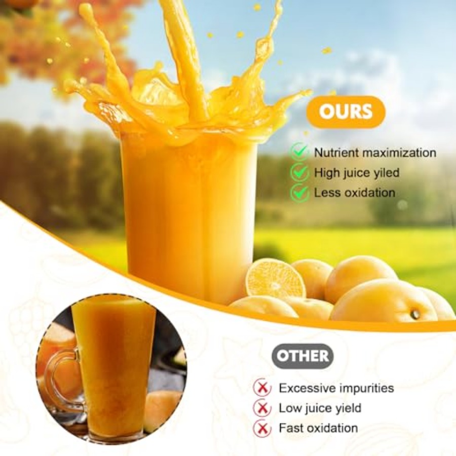 Masticating Juicer Attachment  – Juicer Cold Press Slow Bewertung und Preis