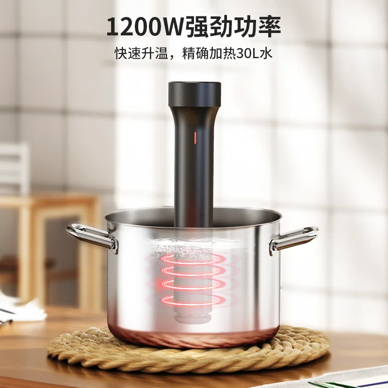 110V/220V WEVAC Sous Vide Prec – Sous Vide Immersion Bewertung und Preis