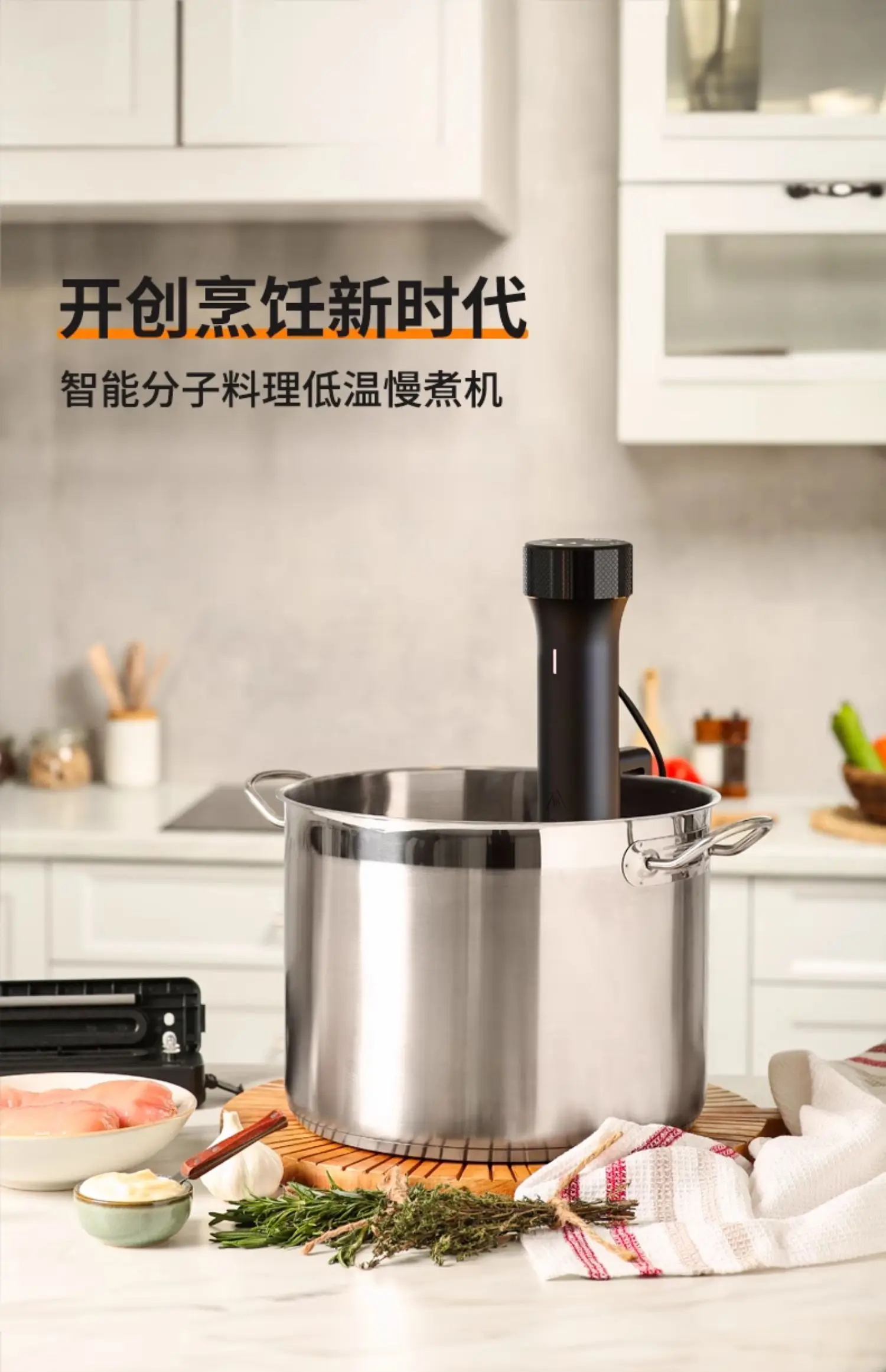 110V/220V WEVAC Sous Vide Prec – Sous Vide Immersion Bewertung und Preis